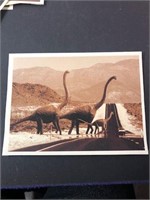 Dinosaur photo print see pic mounted 7