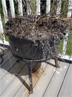 Cauldren Planter on Stand