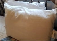 2 Clean Pillows