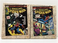 2 Marvel The Amazing Spider-Man art framed