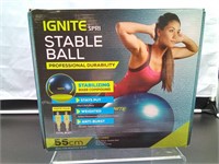Ignite Stable Exercise Ball