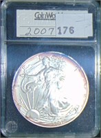2007 Silver Eagle (Coin World, some toning).