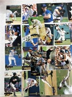 1994 pinnacle baseball cards