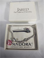 RCI/ALE sterling Pandora charm & bracelet
 Teddy