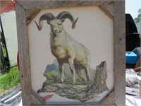 Vintage Bighorn Sheep Red Wing 3D Sign (Damaged)