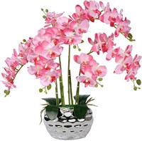 Pink Orchid with Silver Vase