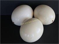 Three Large Ostrich Eggs