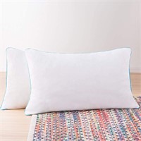 Linenspa Pillow Queen Size Set of 2