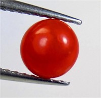 0.93 ct Natural Italian Red Coral
