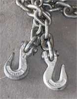 20 FT CHAIN WITH HOOKS