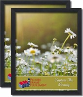 24 By 30-inch Picture Frame 2-piece Set, Smooth F