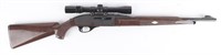 Gun Remington Nylon 66 Semi Auto Rifle in .22 LR