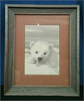 Framed Picture "Snow Ball" By W.E. Ryan, Approx.