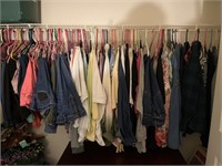 All the clothing in the closet plus sizes