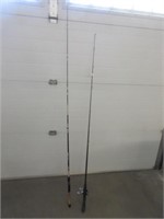 Fishing Rods & Reel