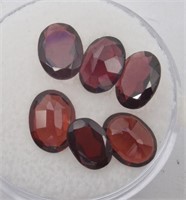 (6) Oval Garnet Gemstones