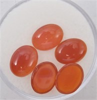 (5) Carnelian Gemstones