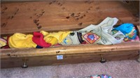 Drawer of dog sweaters shirts & collars