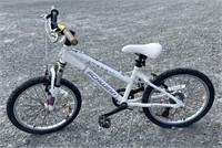 (BG) Schwinn Mesa Mini Bike 12 In. Frame