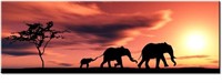Print The Elephant Family 24x8 - 1" thick