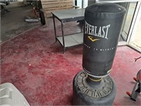 Everlast Boxer Training Bag.