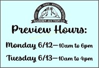 Preview Hours - PLEASE READ!