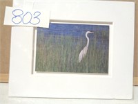 Evening Egret 65/372 Photograph signed