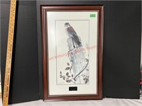 Framed Bird Picture - Signed 33"x21"