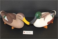 Pair Of Northern Shovelers Decoys