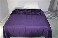 Bed Frame With Clean Mattress & Box spring (full)