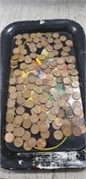 Tray Of Assorted Wheat Pennies