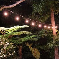 Incandescent Indoor and Outdoor String Light Set