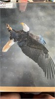 Eagle poster