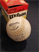 Wilson Official 12" Softball