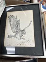 Buzzard drawing by Fred King - Scotland
