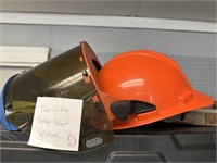 Tree, cutting safety helmet with a visor
