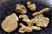 Alaskan Gold Nuggets 1.42g