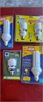 New Light bulbs  (1st Shop)