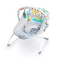Bright Starts 3-Point Vibrating Baby Bouncer