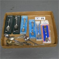 Souvenir Collector Spoons