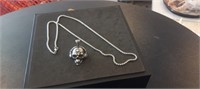 Stainless Steel Necklace & Skull Pendant