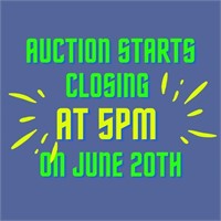 AUCTION CLOSING AT 5PM ON 6/20!!
