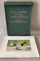 Fish and Game of the State of New York - a