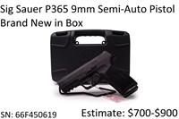 Sig Sauer P365 9mm Semi-Auto Pistol