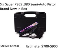 Sig Sauer P365 .380 Semi-Auto Pistol