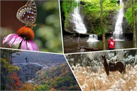 Enjoy the Four Seasons in Arkansas!