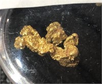 .971  gram Gold Alaska Nuggets