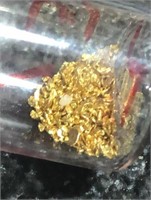 1 gram Gold Alaska  in Vial