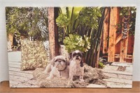 Large Photograph Portrait of  Pet Dogs