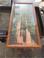 Framed Art "Redwoods" 13x25